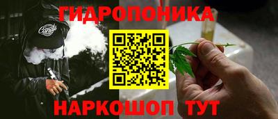 сатива Камышлов