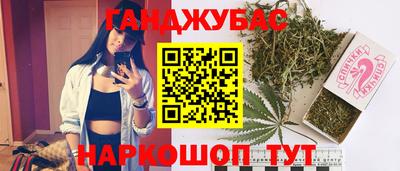 сатива Камышлов