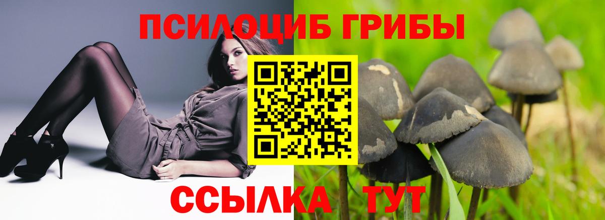 Мичуринск  Галлюциногенные грибы мицелий  Галлюциногенные грибы Cubensis  Вход с VPN 